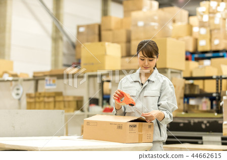 Logistics Warehouse Working people Packaging work 44662615