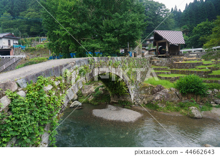 Kashiwa Matsuhashi in summer 44662643