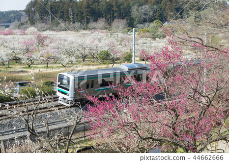 Kairakuen and Joban Line 44662666