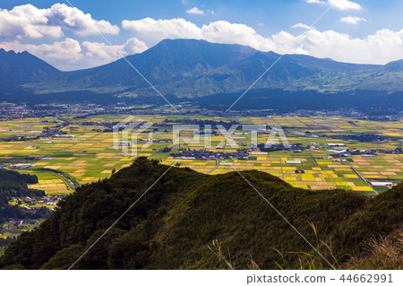 麻生Senmaida 44662991