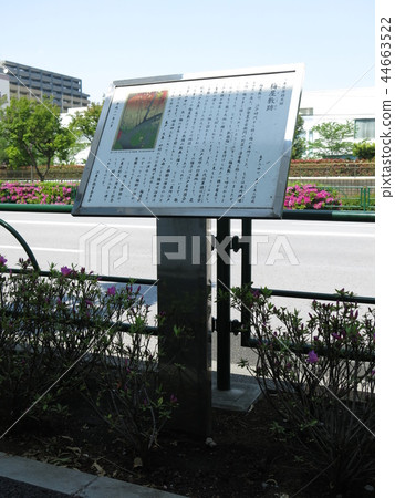 Kameido plum mansion mark Kameido plum mansion mark 44663522