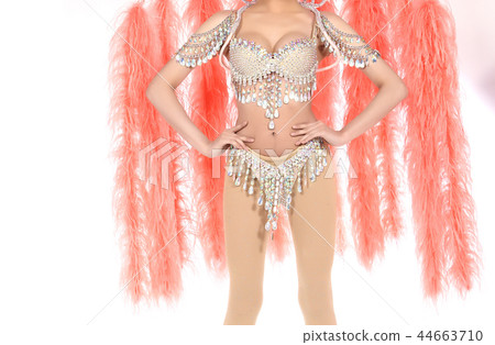 Feather Wings with colorful decorative costume sexy for dancer cabaret Show girl on isolated white background 44663710