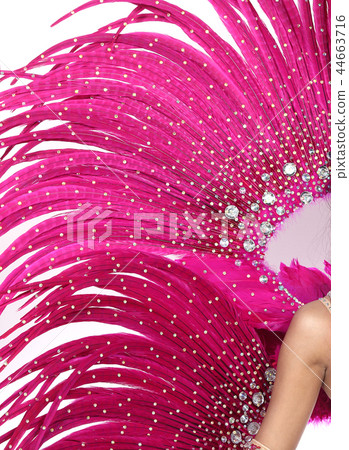 Feather Wings with colorful decorative costume sexy for dancer cabaret Show girl on isolated white background 44663716