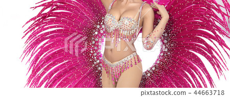 Feather wings decorative on costume cabaret 44663718