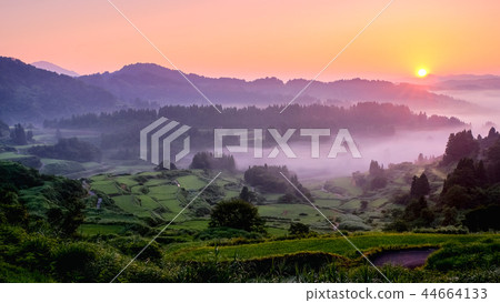 梯田(早晨) 梯田(早晨) 44664133