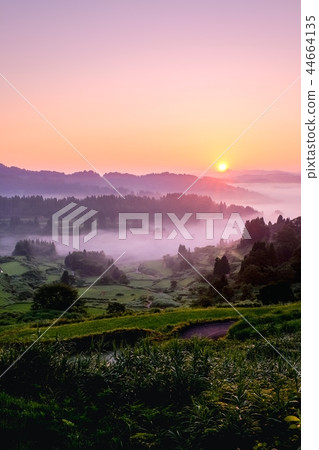梯田（早晨） 44664135