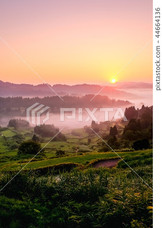 Terraced rice terrace (morning view) 44664136