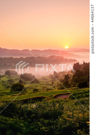 梯田（早晨） 44664137