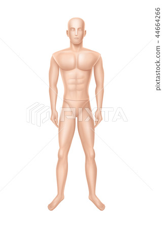 Vector male mannequin, manikin for clothing store. Vector male mannequin, manikin for clothing store. 44664266
