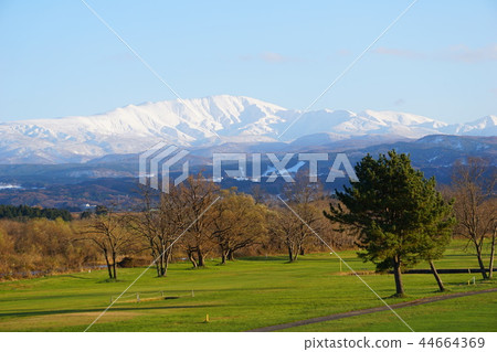 Early winter white silver Tsukiyama 44664369