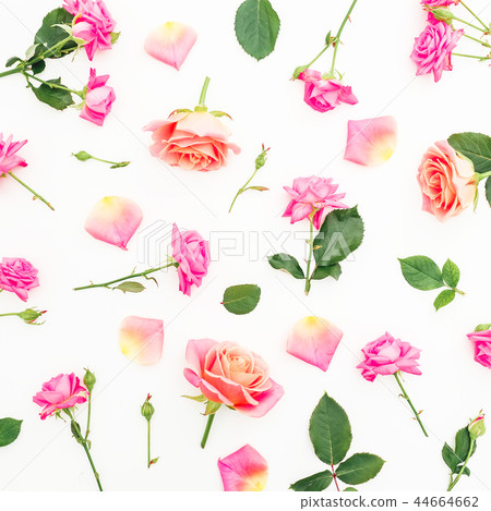 Pattern with pink roses flowers and petals Pattern with pink roses flowers and petals 44664662