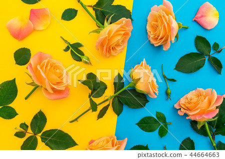 Floral pattern of orange roses with leaves Floral pattern of orange roses with leaves 44664663