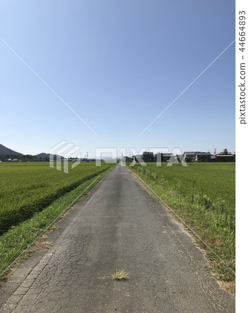 A straight road A straight road 44664893