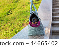 Black Russian Terrier sitting in dog carrying bag 44665402