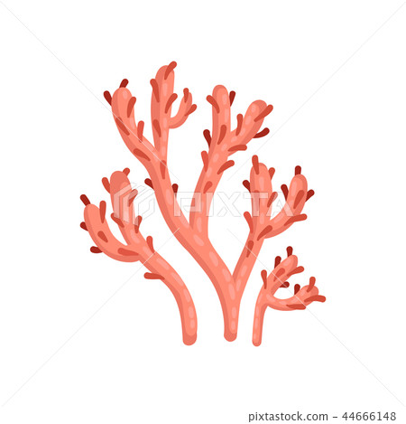 Flat vector icon of bright red soft coral. Plant of tropical waters. Marine ecosystem. Sea and ocean 44666148