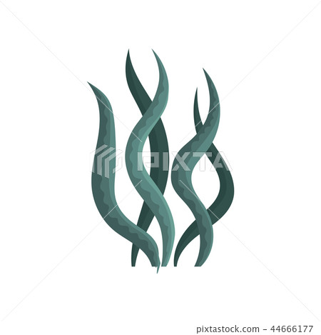 Green curved seaweed. Marine object. Decorative object for aquarium. Underwater plant. Flat vector Green curved seaweed. Marine object. Decorative object for aquarium. Underwater plant. Flat vector 44666177