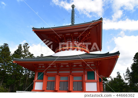 [紀伊山脈的世界遺產聖地和參拜路線] 和歌山縣伊東郡高野町高野山的金本大東塔和秋日晴朗的天空 44666302