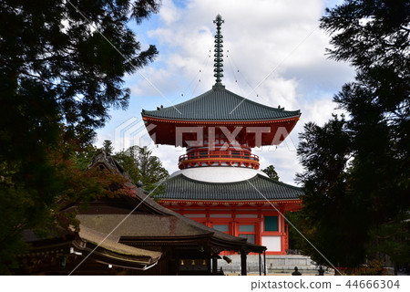 【紀伊山脈的世界遺產和參拜路線】和歌山縣伊東郡高野町高野山團上伽藍和金本大東 【紀伊山脈的世界遺產和參拜路線】和歌山縣伊東郡高野町高野山團上伽藍和金本大東 44666304