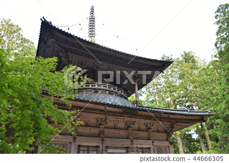 【紀伊山脈的世界遺產和參拜路線】和歌山縣伊東郡高野町被綠樹環繞的高野山團上伽藍西塔 【紀伊山脈的世界遺產和參拜路線】和歌山縣伊東郡高野町被綠樹環繞的高野山團上伽藍西塔 44666305