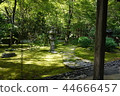 Kyoto garden 44666457