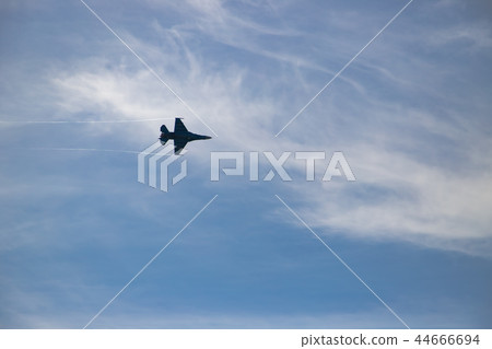 戰鬥機 44666694