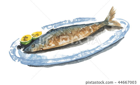 the taste of autumn, pike fish, saury 44667003