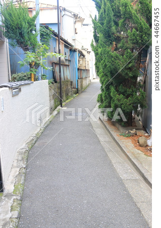 Alley Otowa Alley Otowa 44667455