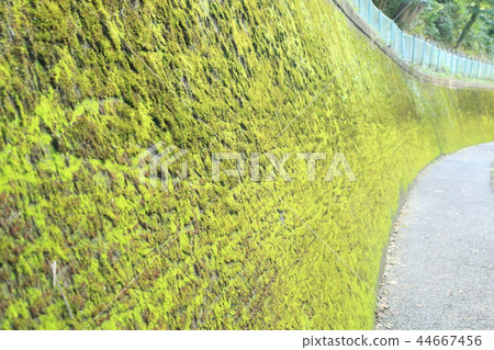 Otowa Wall Otowa Wall 44667456