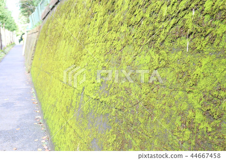 Otowa Aoi Road Otowa Aoi Road 44667458