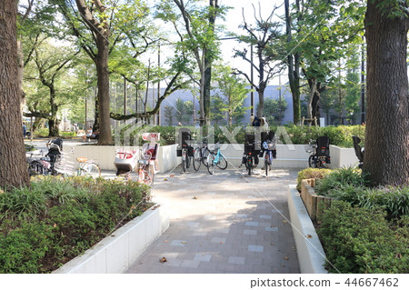公園停車場 公園停車場 44667462