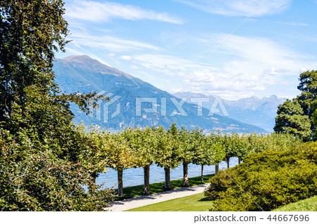 Villa Melzi Garden in a sunny day 44667696