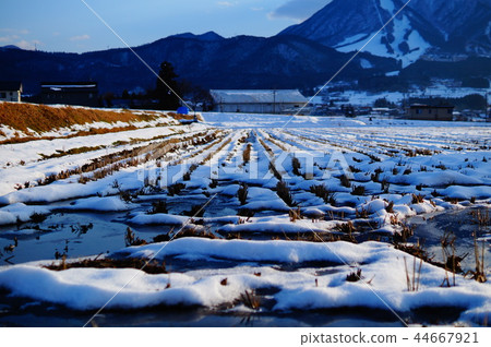 Winter rice field Kijimadaira 44667921