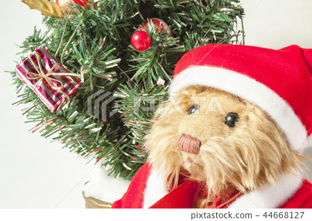 Christmas tree and teddy bear Christmas tree and teddy bear 44668127