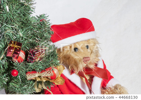 Christmas tree and teddy bear 44668130