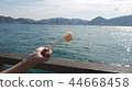 扇貝和大海 44668458