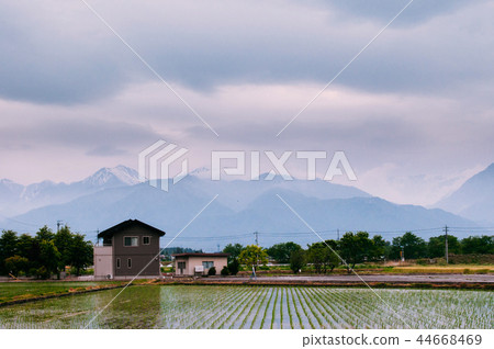 Japan Alps on cloudy day green rice field Nagano 44668469