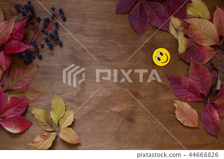 autumn yellow leaves wood texture background for lettering autumn yellow leaves wood texture background for lettering 44668826