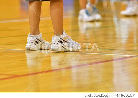 Minibus image Minibus image 44669197