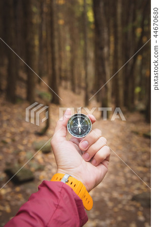 A beautiful male hand with a yellow watch strap holds a magnetic compass in the coniferous autumn A beautiful male hand with a yellow watch strap holds a magnetic compass in the coniferous autumn 44670680