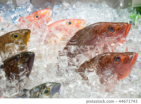 Fresh fish Fresh fish 44671743