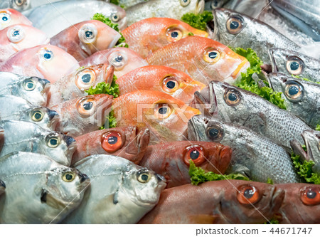 Fresh fish Fresh fish 44671747