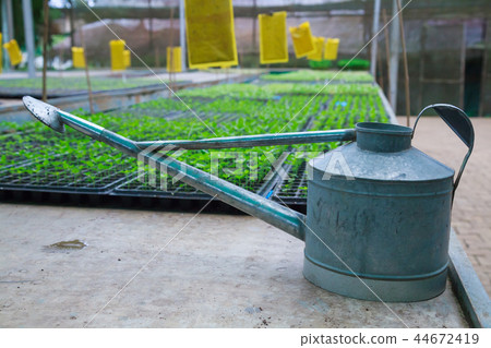 watering pot with plant nursery farm background watering pot with plant nursery farm background 44672419