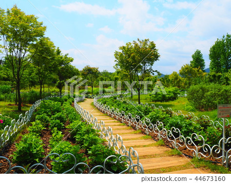 Suncheon Bay National Garden Roadside 44673160