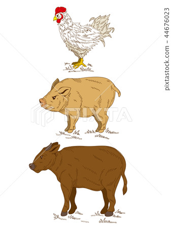 雞和豬和母牛的例證 44676023