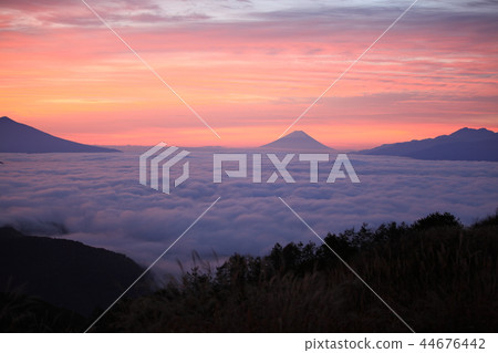 早上的看法 44676442