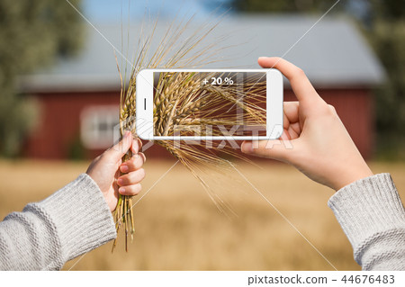 Internet of things in agriculture 44676483