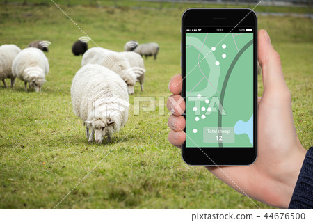Internet of things in husbandry.  44676500