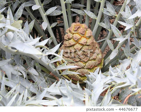 姬野站/新宿 姬野站/新宿 44676677