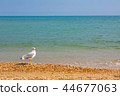 Adriatic Sea coast view. summer sandy beach  44677063