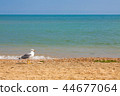 Adriatic Sea coast view. summer sandy beach  44677064